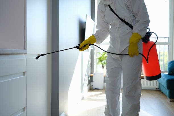 Best Environmental Consulting for Mold Prevention  in USA